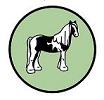 Logo Irish cob society